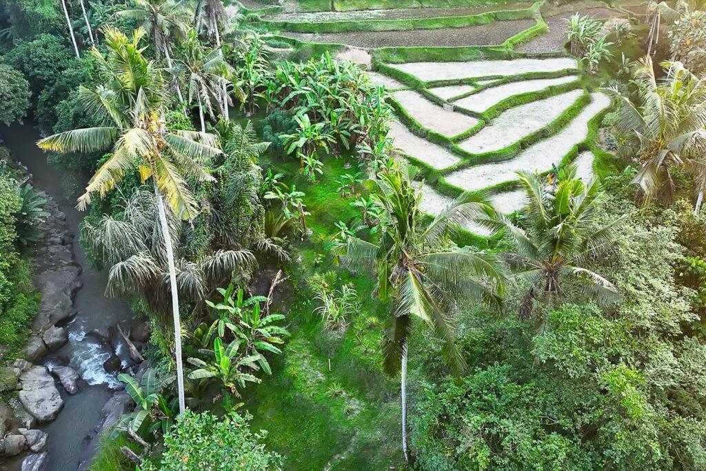 Ubud Riverside Villa Eksteriør bilde